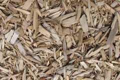 biomass boilers The Woods